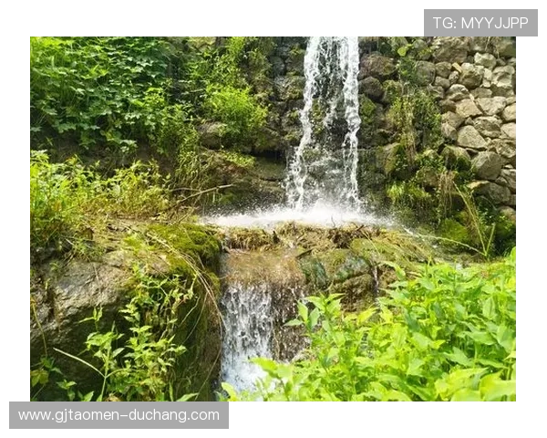 凯旋直播app下载遇到问题怎么办，常见故障解决方案指南